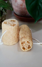 Tripack – Esponja Vegetal Antibacteriana